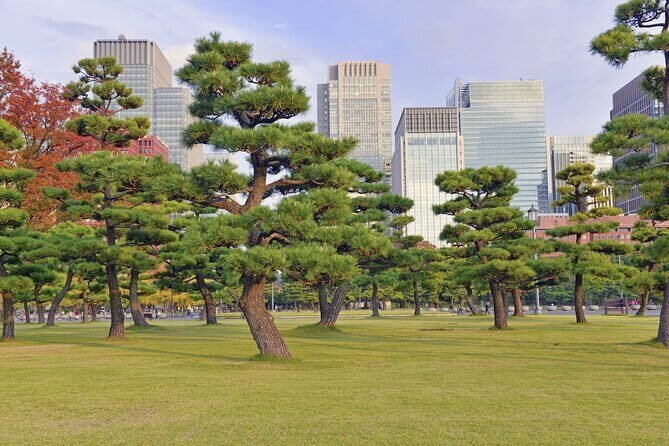 Tokyo Morning Small Group Tour - Who Should Consider This Tour?