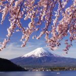 Tokyo: Mount Fuji One Day Trip Lake Kawaguchi & Lake Yamanaka - Transportation, Guide, and Group Size