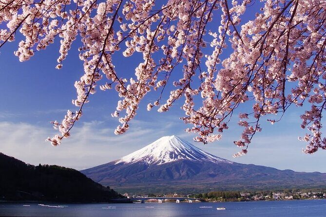 Tokyo: Mount Fuji One Day Trip Lake Kawaguchi & Lake Yamanaka - Transportation, Guide, and Group Size