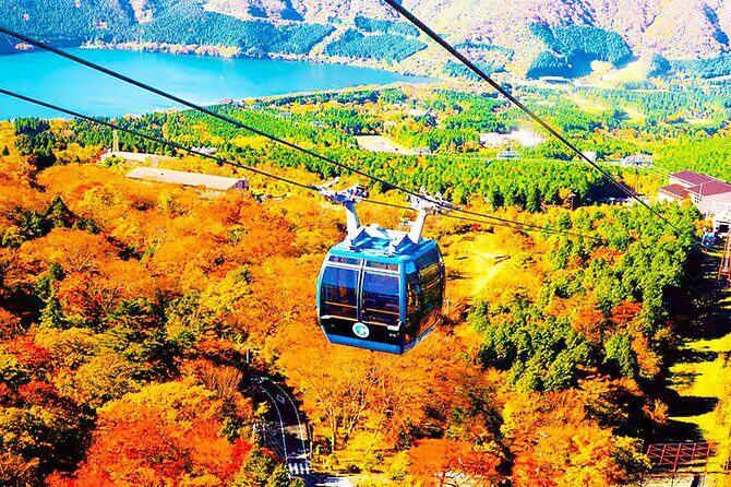 Tokyo: Mt. Fuji Cruise & Hakone Ropeway Day Trip by Bus - Key Points