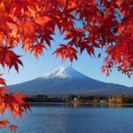 Tokyo: Mt.Fuji & Lake Kawaguchiko 1-Day Bus Tour w/Optional Lunch - Exploring the Itinerary in Detail