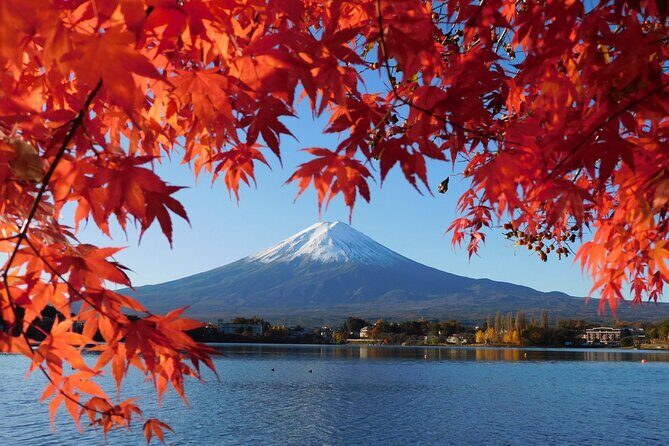 Tokyo: Mt.Fuji & Lake Kawaguchiko 1-Day Bus Tour w/Optional Lunch - Exploring the Itinerary in Detail