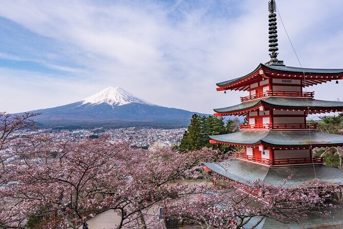 Tokyo: Mt. Fuji & Lake Kawaguchiko 1Day Bus Tour with Lunch - Practical Details That Matter