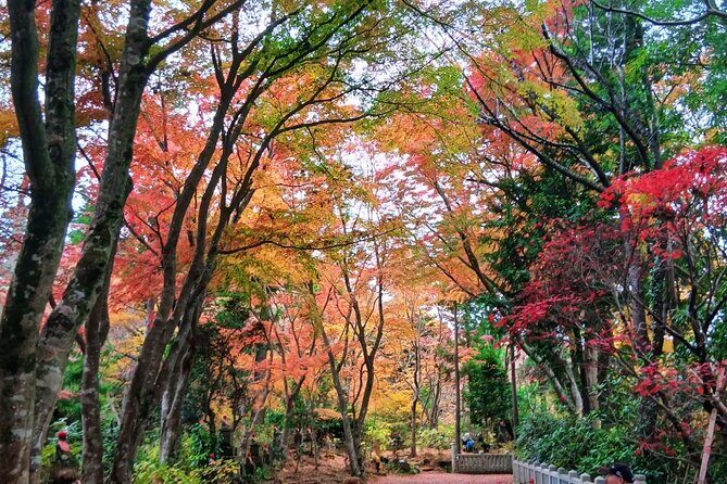 Tokyo: Mt. Takao Tour with Ramen and Tattoo-Okay Hot Spring - Takaotozan Cable Car: Scenic Ride Up