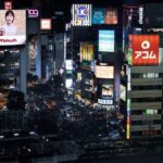 Tokyo: neon lights Shinjuku and Shibuya - Practicalities and Value