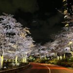 Tokyo Night Bike Tour: From Shibuya to Tokyo Tower via Roppongi - An In-Depth Look at the Tokyo Night Bike Tour