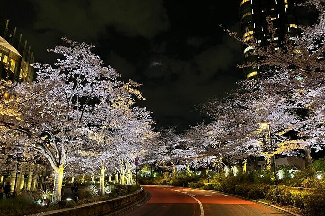 Tokyo Night Bike Tour: From Shibuya to Tokyo Tower via Roppongi - An In-Depth Look at the Tokyo Night Bike Tour