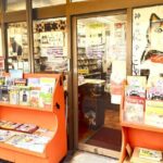 Tokyo Night Cat Tour: Cat Bookstore, Shinjuku Cat Cafe & 3D Cat - An In-Depth Look at the Tokyo Night Cat Tour