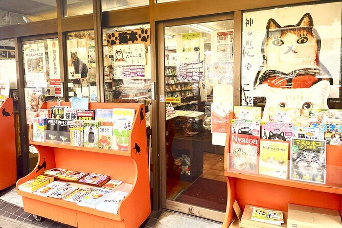 Tokyo Night Cat Tour: Cat Bookstore, Shinjuku Cat Cafe & 3D Cat - An In-Depth Look at the Tokyo Night Cat Tour
