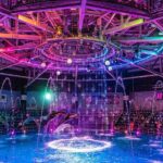 Tokyo Night E-Bike Tour with Tokyo Tower and Dolphin Show - What’s Included and What’s Not