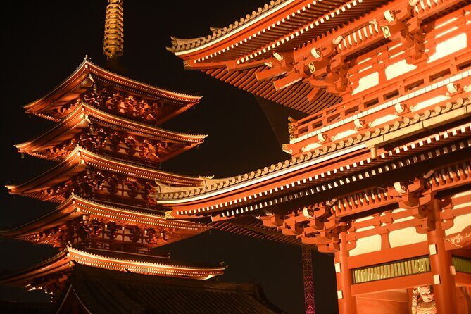 Tokyo Night View Guided Tour with Private Car and Driver - What We Love About This Tour