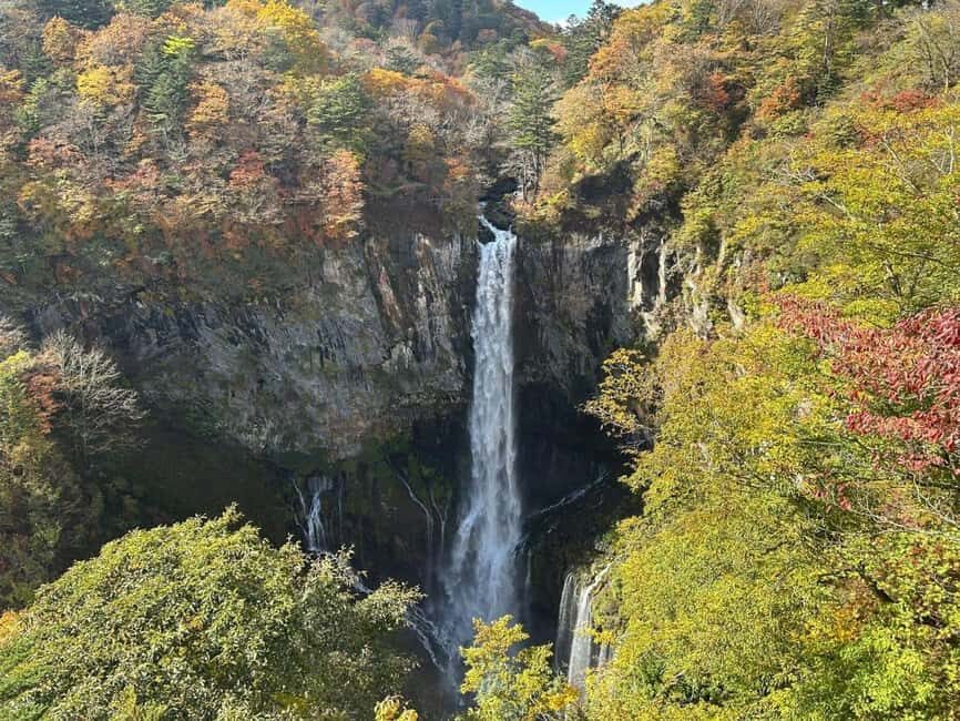 Tokyo  Nikko:Private Customizable Day Trip (English Driver) - Final Thoughts: Is This Tour Right for You?