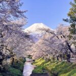 TOKYO OishiPark, Oshino & KoedoKawagoe, Fuji Mount - What the Reviews Say