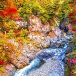 Tokyo Okutama Day trip Tour - Who Will Love This Tour?