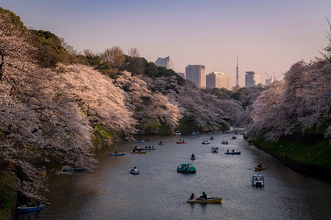 Tokyo Photography Masterclass - Private Photography Lesson - Itinerary Breakdown: What to Expect