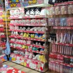 Tokyo Pop Culture Deep Dive: 100 Yen Shop & Gachapon Exploration - What Travelers Say