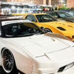TOKYO PREMIUM CAR TOUR: Daikoku PA & Japans Amazing JDM Car Meet - What Makes This Tour Stand Out?