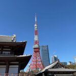Tokyo: Private 1-Day Tour by Car with Local Guide - A Deep Dive Into the Experience: What It’s Really Like