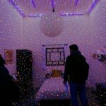 Tokyo Private Art Tour in Kagurazaka Shinjuku with Licensed Guide - The Practicalities: What You Need to Know