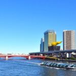 Tokyo Private Custom Full Day Sightseeing Tour by Chartered Car - FAQ