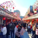 Tokyo Private Custom Walking Tour - The Experience: What Youll Really Get