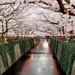 Tokyo Private Customizable Full Day Tour - Frequently Asked Questions