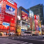 Tokyo Private Customized Day Tour - Why Choose a Private, Customized Tour?