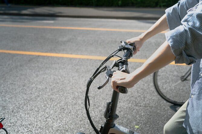 Tokyo: Private E-Bike Tour of the Imperial Palace Area - Who Will Love This Tour?