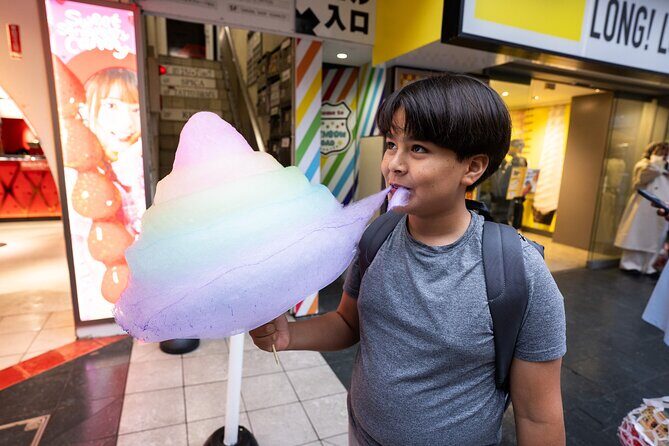 Tokyo Private Family Tour Personalized Adventure - What’s Included and What’s Not