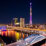 Tokyo Private Sightseeing Tour by Car - English speaking driver - Why This Tour Stands Out