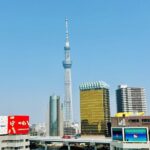 Tokyo Private Sightseeing Tour by Car with Local Guide - Insights from Real Travelers