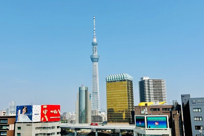 Tokyo Private Sightseeing Tour by Car with Local Guide - Insights from Real Travelers