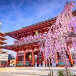 Tokyo Private Tour by Car/Van with English Speaking Driver - Why Choose This Tour?