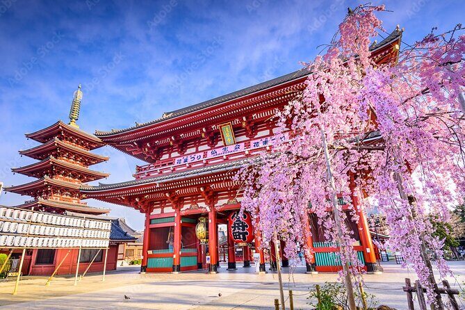 Tokyo Private Tour by Car/Van with English Speaking Driver - Why Choose This Tour?