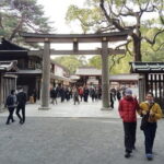 Tokyo Private Tour for First-Time Visitors - Authentic Experiences and Practical Insights