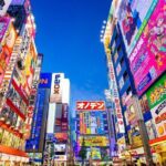 Tokyo Private Tour with English Speaking Driver Customizable - Why Travelers Rave About This Tour
