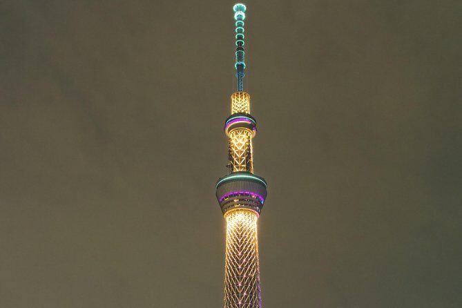 Tokyo Private Tour with Native Japanese Driver - Practical Details and Final Thoughts