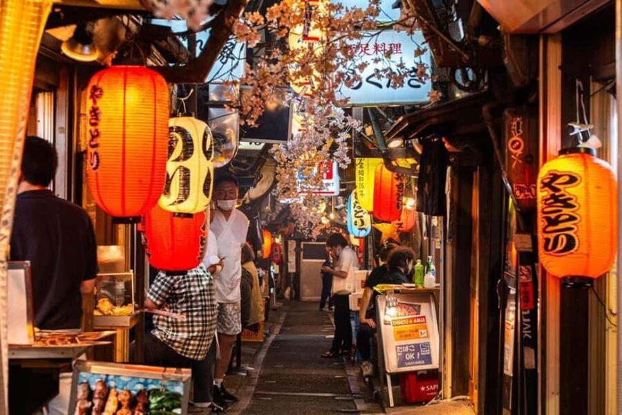 Tokyo: Private Walking Tour with a Local Guide - What to Expect on Your Tour