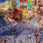 Tokyo Private Walking Tour with Hotel Pickup - Who Would Enjoy This Tour?