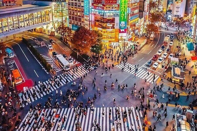 Tokyo Private Walking Tour with Hotel Pickup - Who Would Enjoy This Tour?