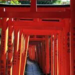 Tokyo Samurai History Walking Tour - In-Depth Analysis of the Itinerary