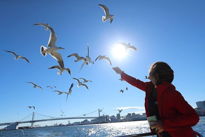 Tokyo: Seagull Feeding or Sunset Bay Cruise with Local Guide - Who Will Love This Tour?