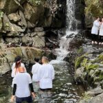 Tokyo Seasonal Peaks Discovery - An In-Depth Look at the Tokyo Seasonal Peaks Discovery Tour