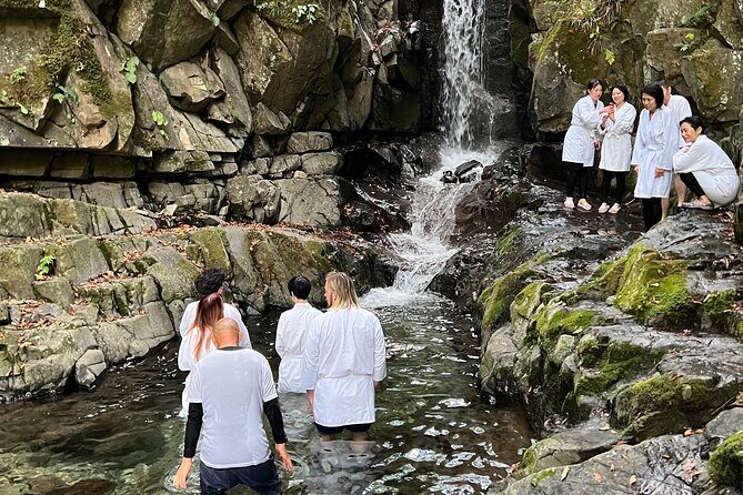 Tokyo Seasonal Peaks Discovery - An In-Depth Look at the Tokyo Seasonal Peaks Discovery Tour