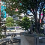 Tokyo Shibuya and Highlights Private Running Tour - FAQ