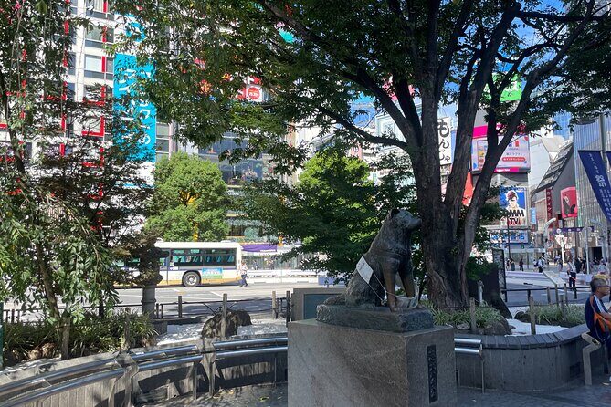 Tokyo Shibuya and Highlights Private Running Tour - FAQ