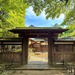 Tokyo: Shibuya E-Scooter Guided Tour in Hidden Neighborhood - Who Would Enjoy This Tour Most?