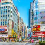 Tokyo: Shinjuku & Shibuya Walking Tour  City Highlights - The Sum Up