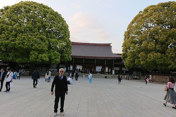 Tokyo Shrine Cultural Walks - Who Will Love This Tour?