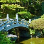 Tokyo: Step into tradition, sumo wrestlers and geisha - Final thoughts